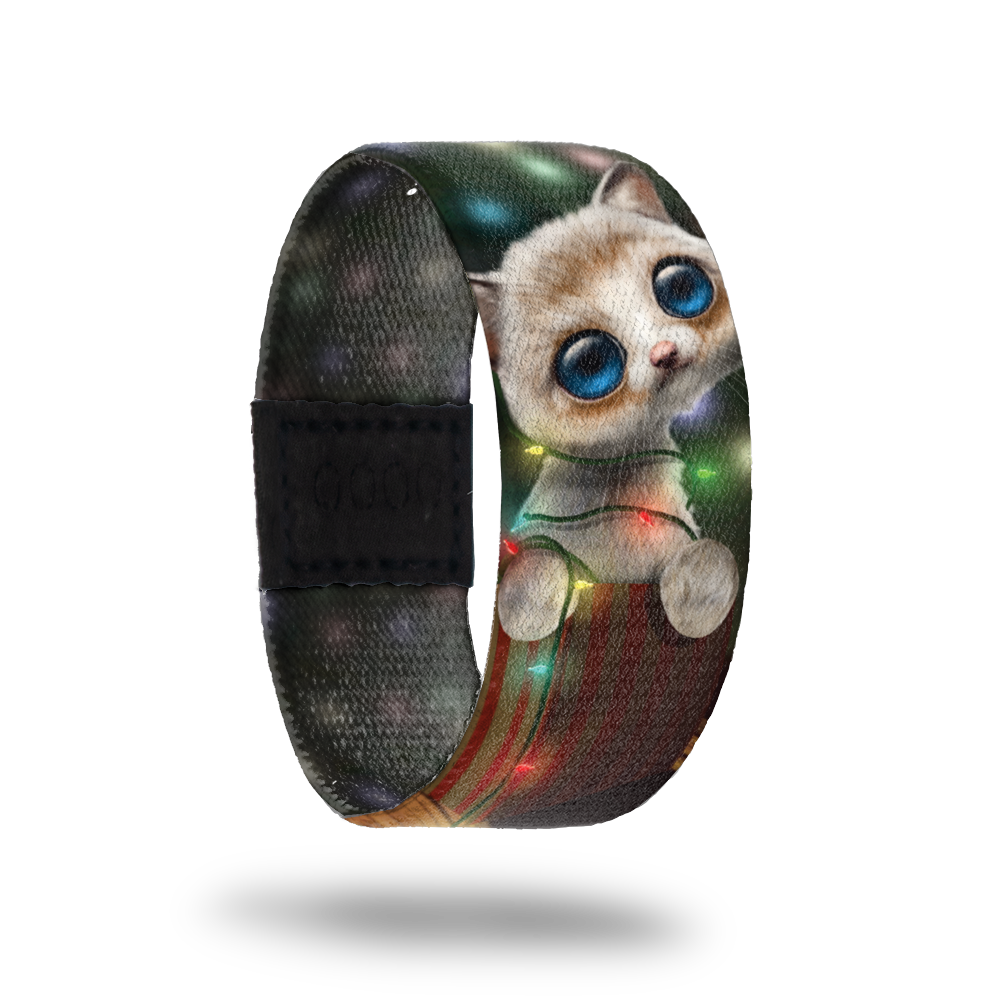 All I Want For Christmas Is You-Sold Out-ZOX - This item is sold out and will not be restocked. A white furry kitten with giant blue eyes, sitting ina gift box with lights all around her. Inside is the same and says All I Want For Christmas. 