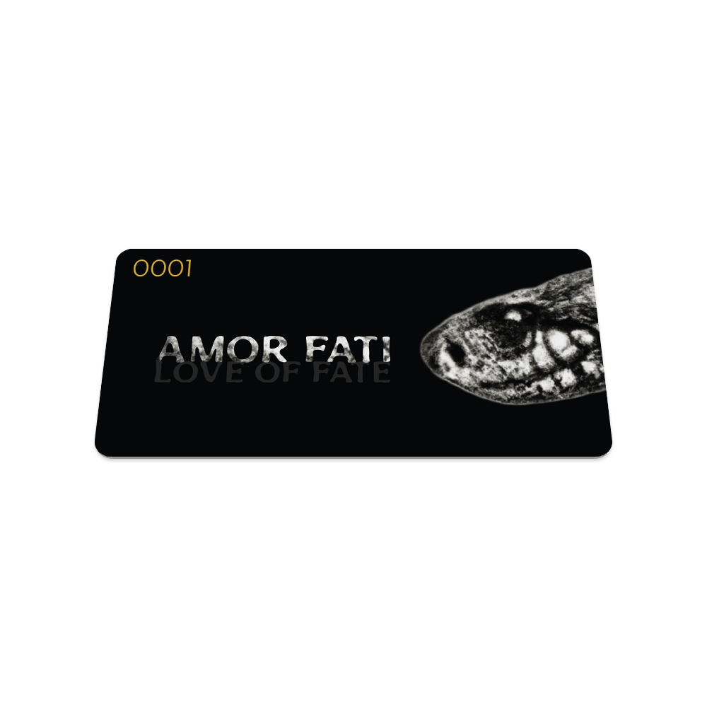 Amor Fati