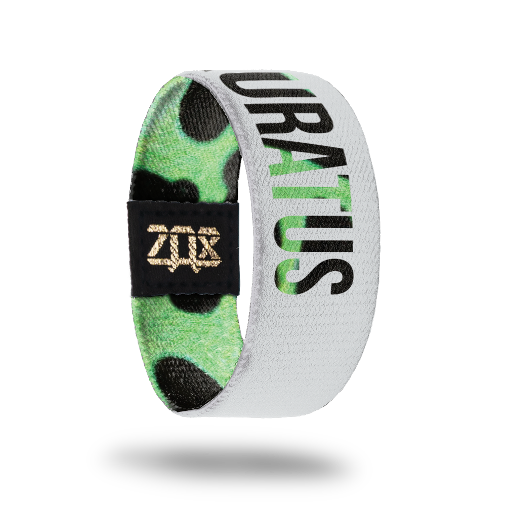 Auratus-Sold Out-ZOX - This item is sold out and will not be restocked.