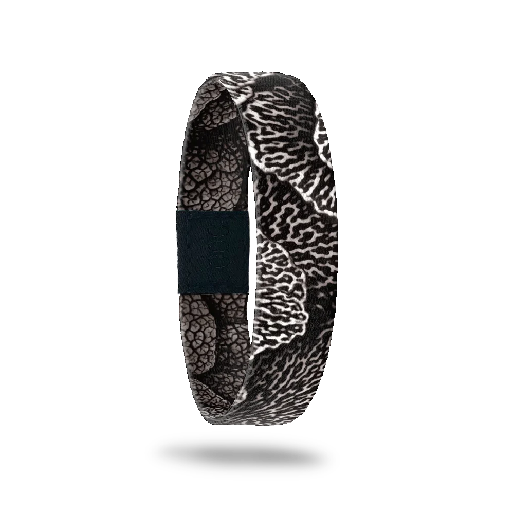 Black single with white sea shell prints all over. Inside is the same and reads Below The Surface. 
