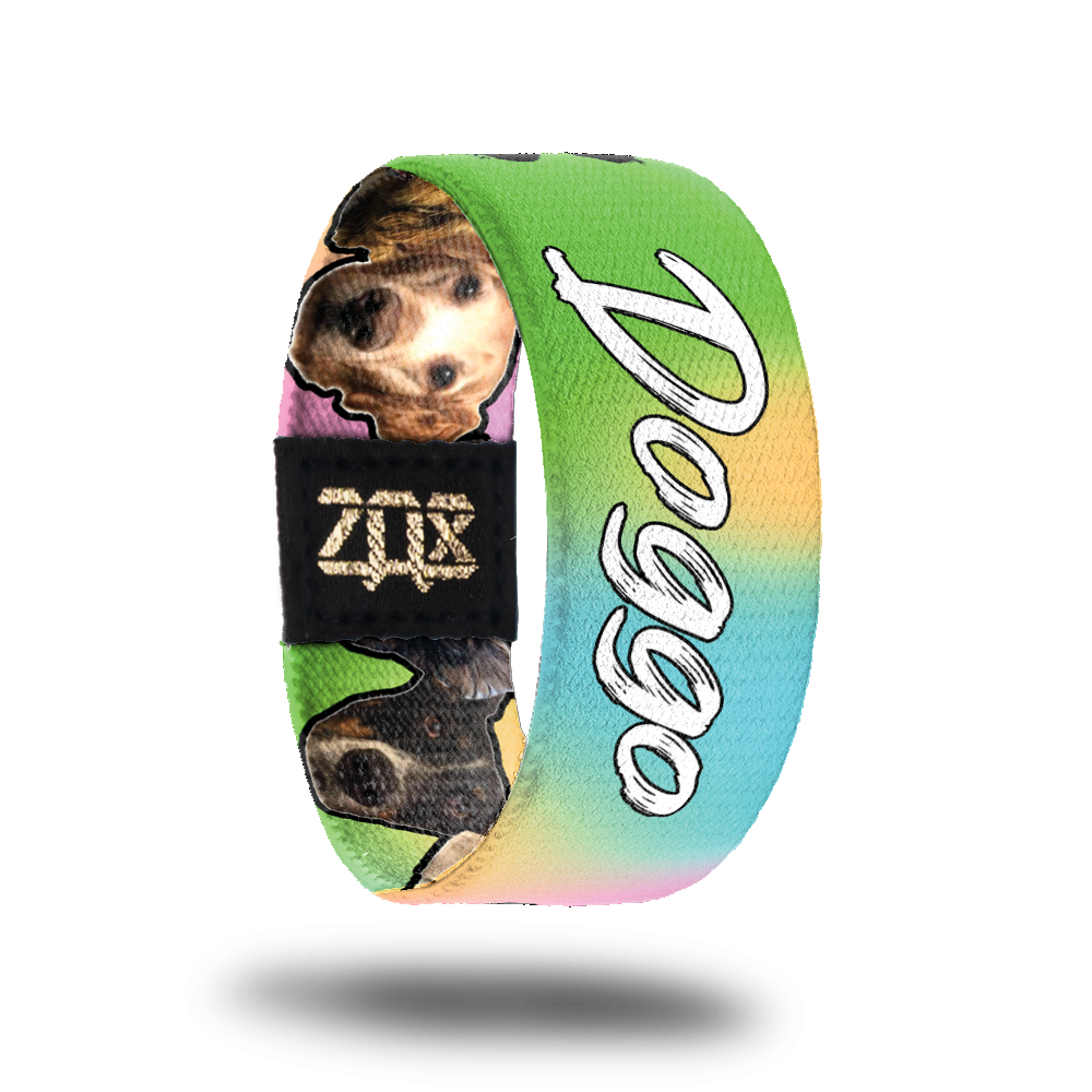 Inside design of Doggo. Doggo in white text at the center with two black ink paw prints on the far sides over a blended background of green, yellow, blue, and pink