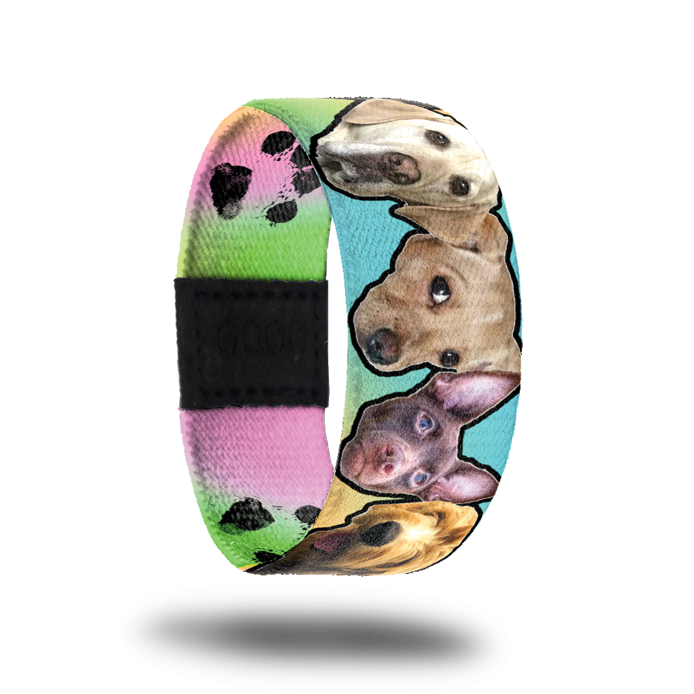 Outside design of Doggo, showing faces of four different breeds of dog. Note the design comes in many different variations of dog breed faces with different color backgrounds changing from blue, yellow, green, and pink   