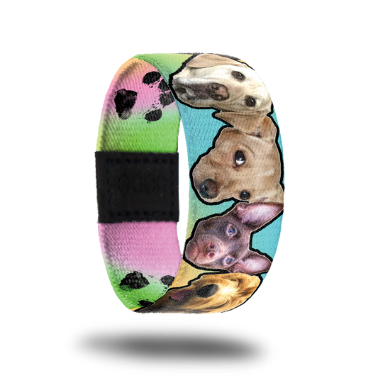 Outside design of Doggo, showing faces of four different breeds of dog. Note the design comes in many different variations of dog breed faces with different color backgrounds changing from blue, yellow, green, and pink   
