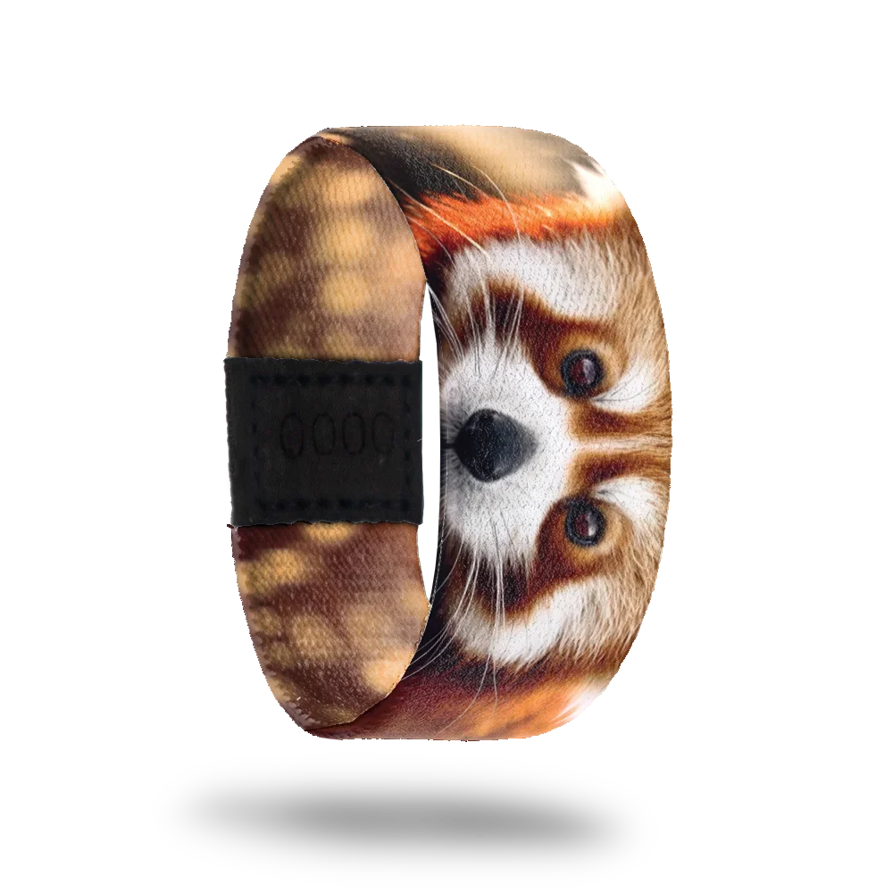 Firefox