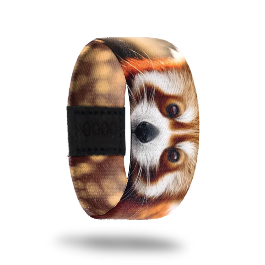 Firefox