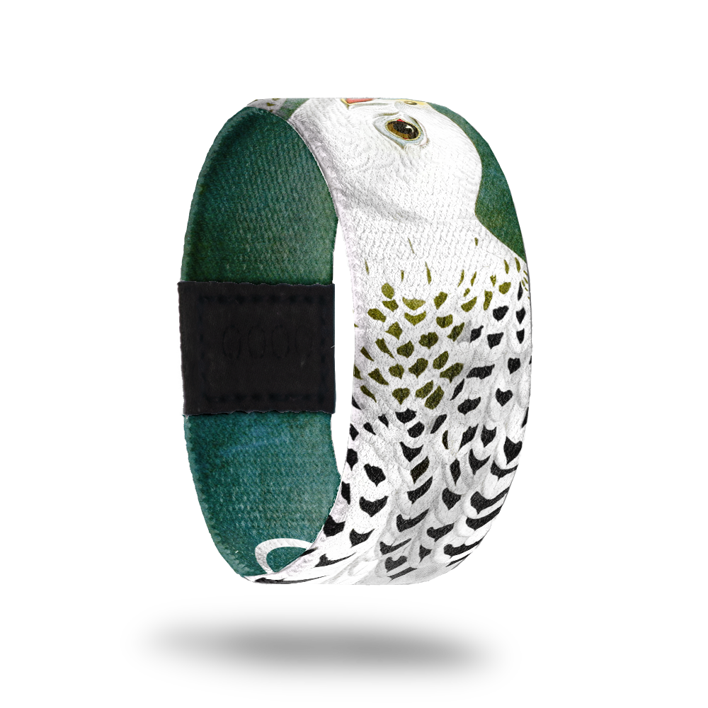 Gyrfalcon-Sold Out-ZOX - This item is sold out and will not be restocked.