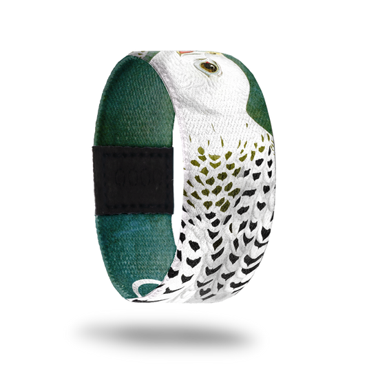 Gyrfalcon-Sold Out-ZOX - This item is sold out and will not be restocked.