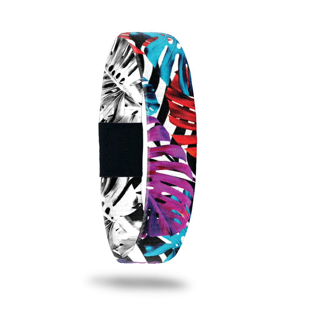 Living Proof-Sold Out - Singles-ZOX - This item is sold out and will not be restocked.