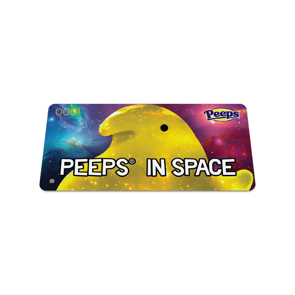 PEEPS In Space