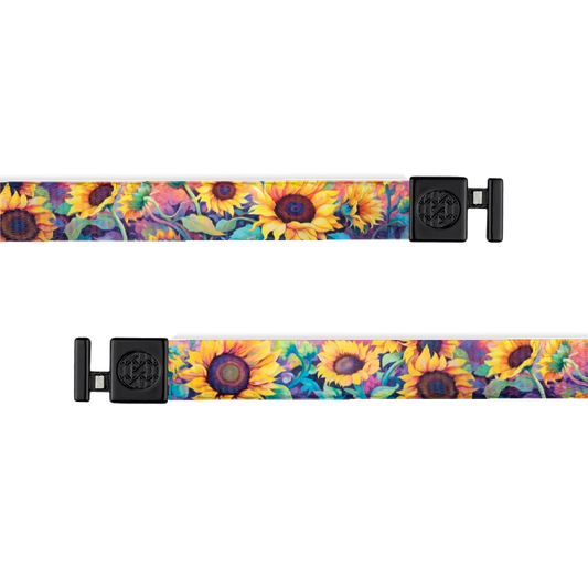 Radiate Positivity String