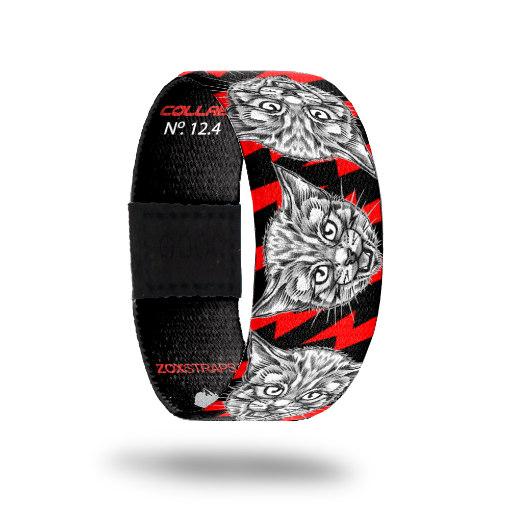 Rawwwr-Sold Out-ZOX - This item is sold out and will not be restocked.