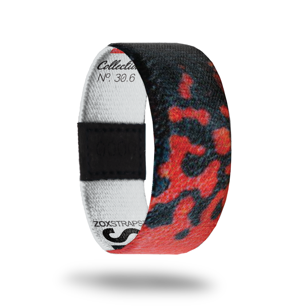 Silverstonei-Sold Out-ZOX - This item is sold out and will not be restocked.