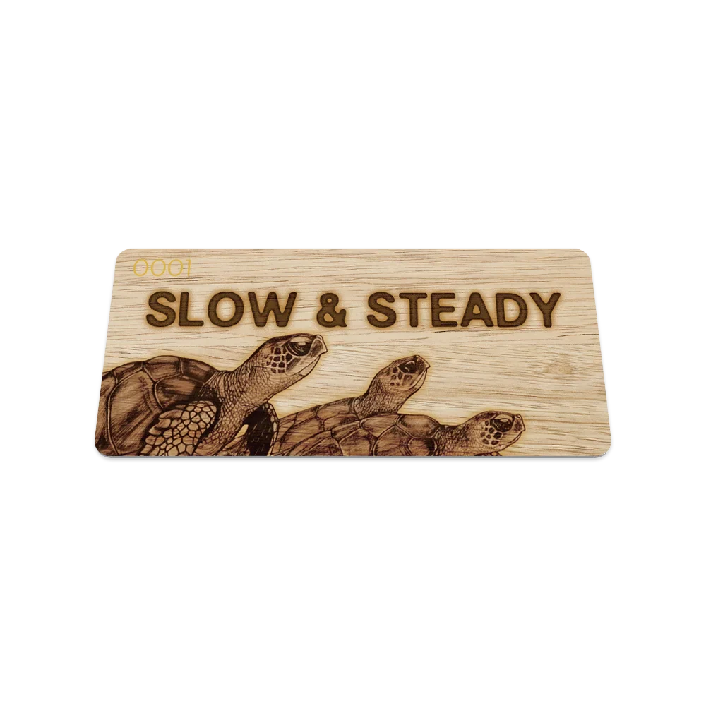 Slow & Steady