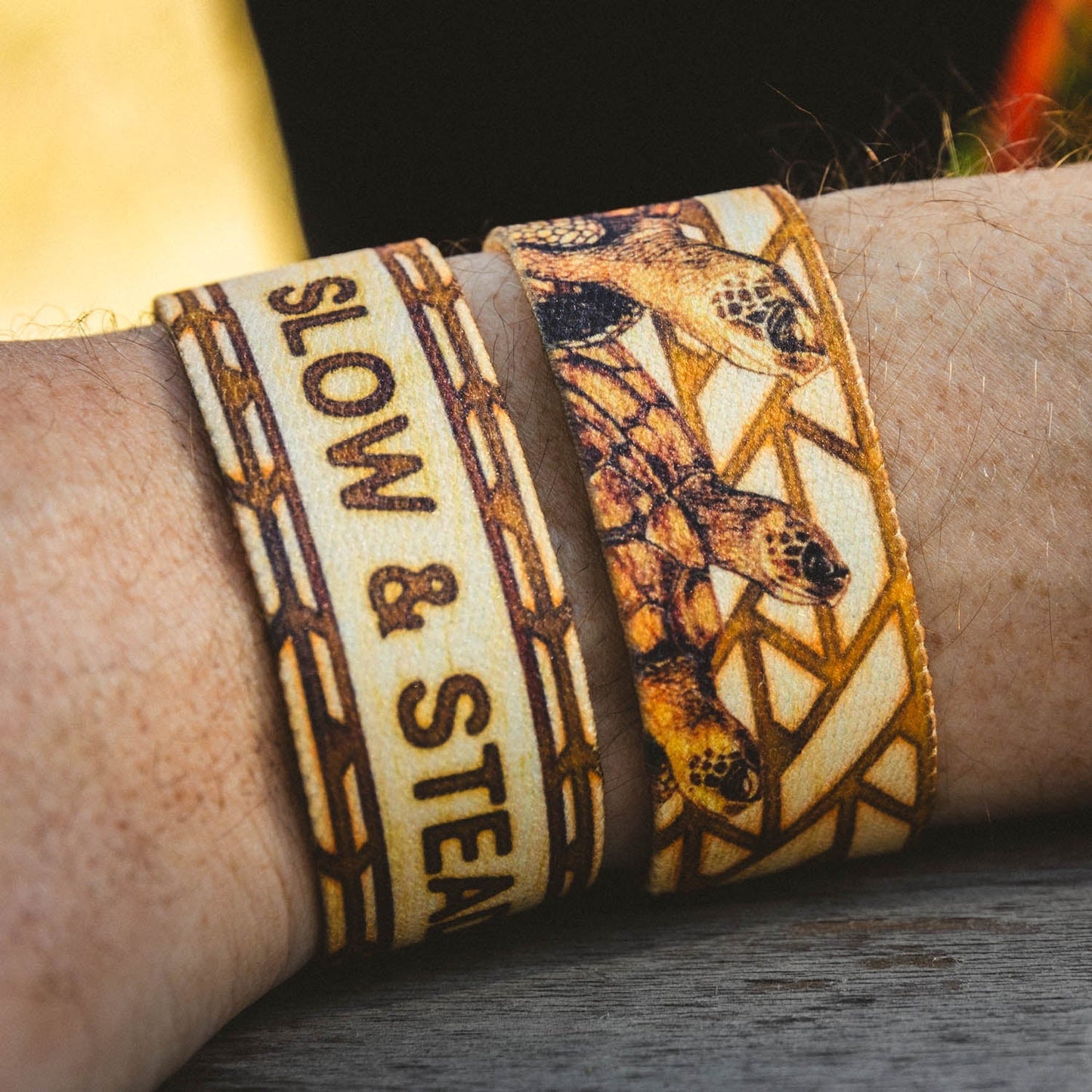 Slow & Steady