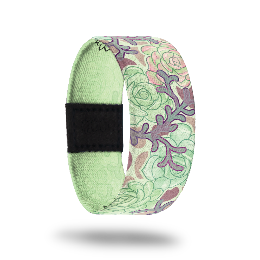 Succulent-Sold Out-ZOX - This item is sold out and will not be restocked.