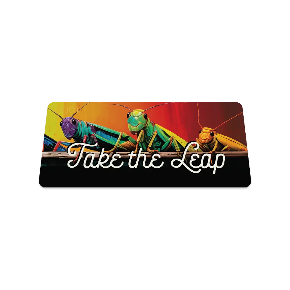 Take The Leap Bracelet