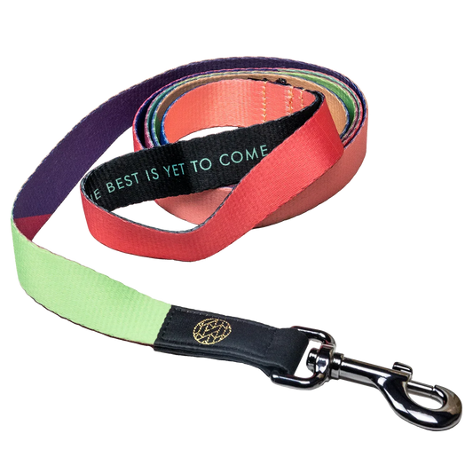 The Best is Yet to Come Leash