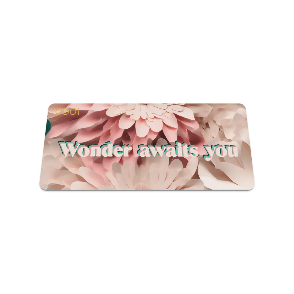 Wonder Awaits You