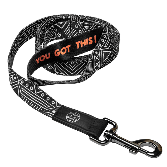 You Got This  Leash
