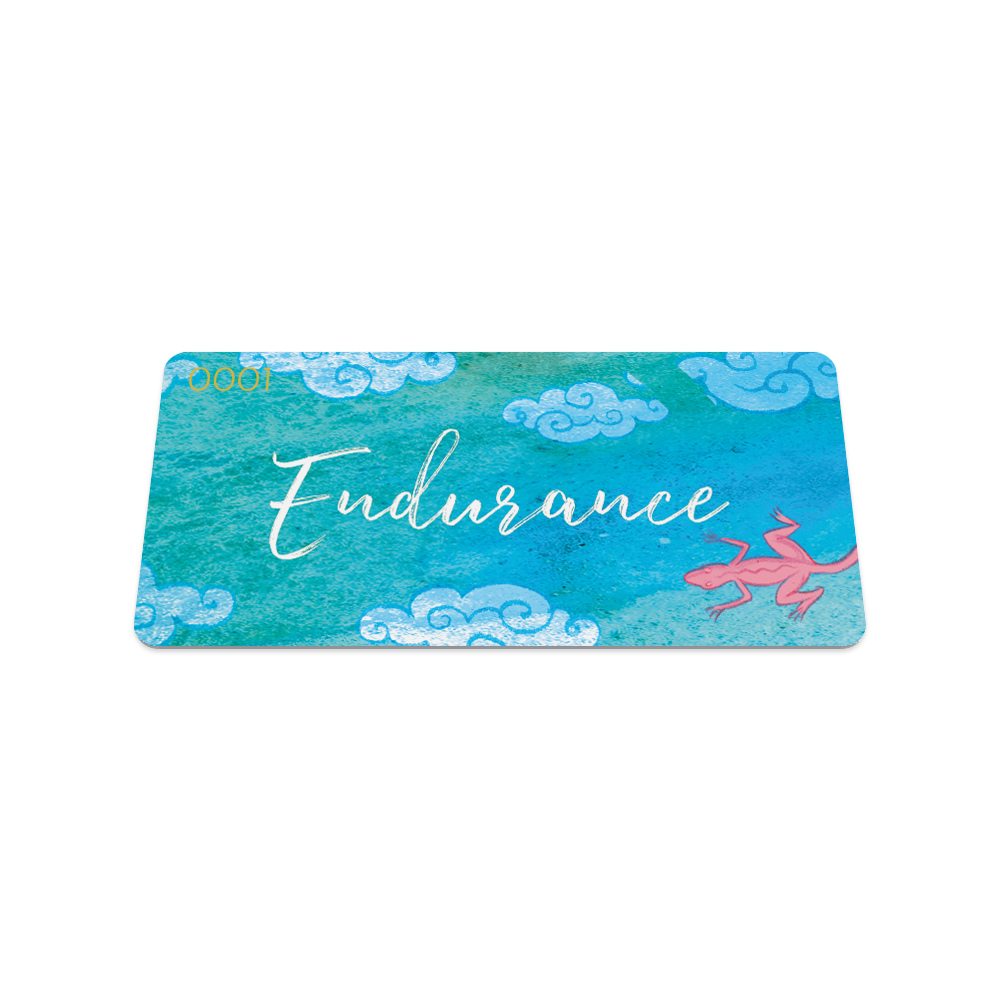 Endurance-Sold Out-ZOX - This item is sold out and will not be restocked.