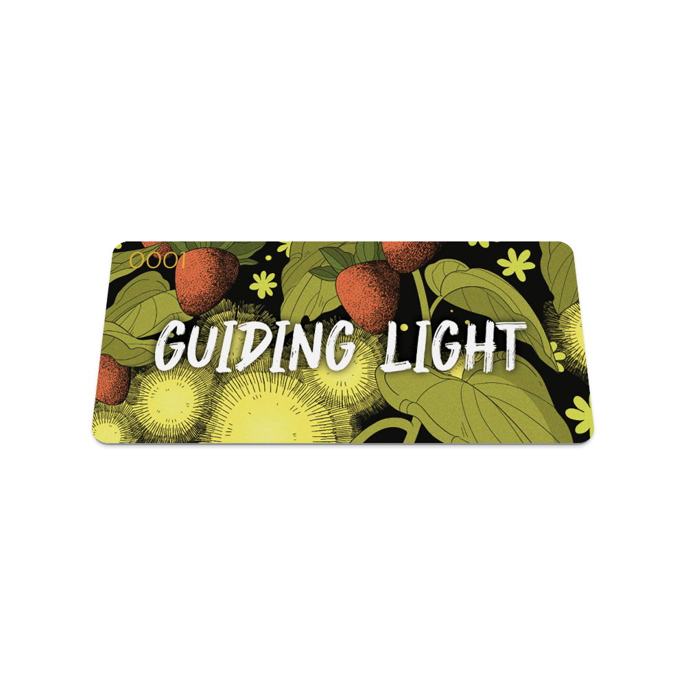 Guiding Light