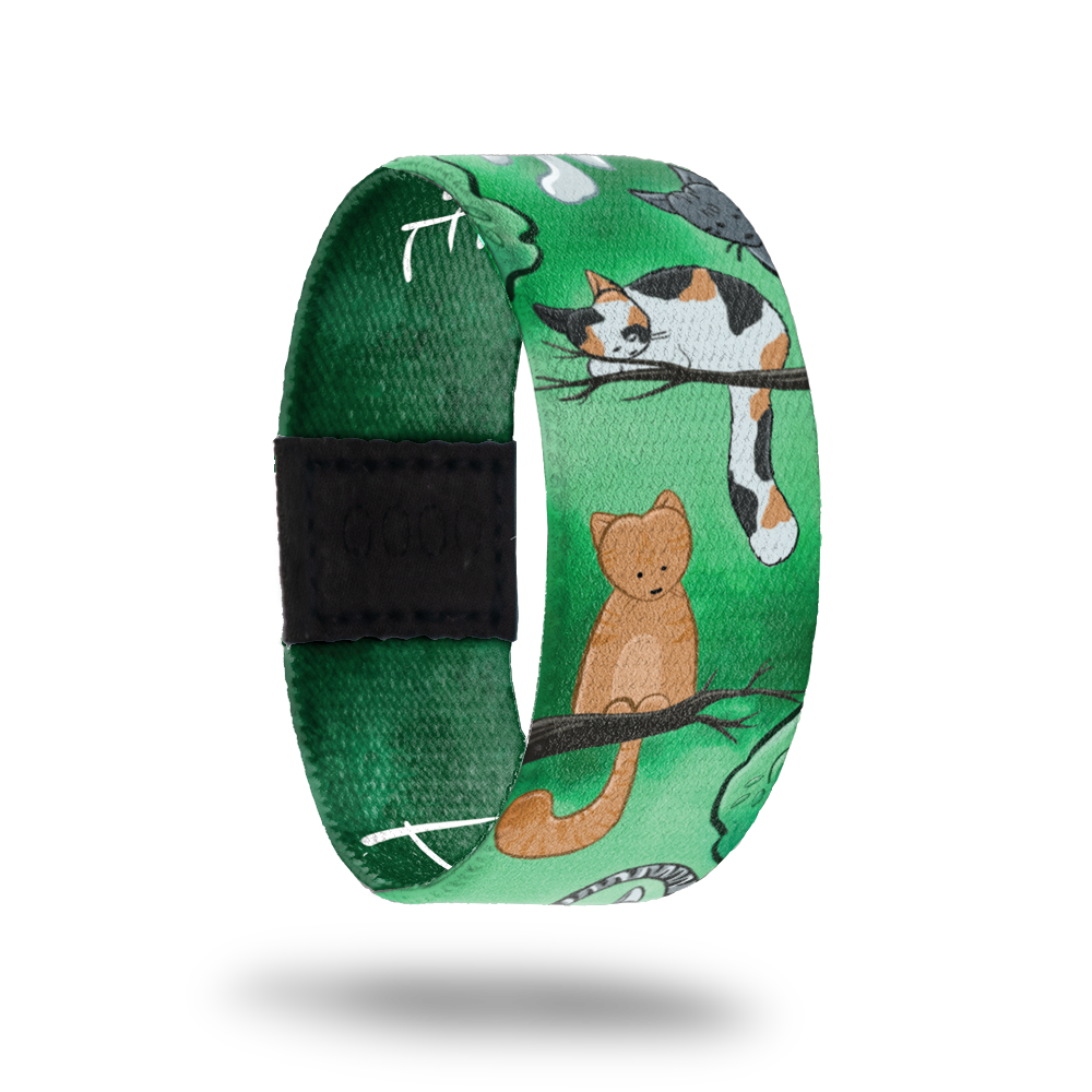 Hang In There-Sold Out-ZOX - This item is sold out and will not be restocked.