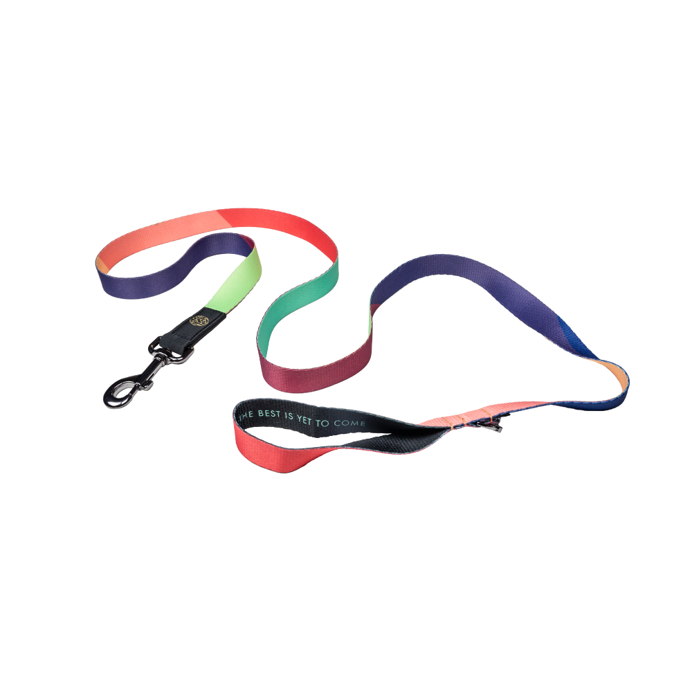 The Best is Yet to Come Leash