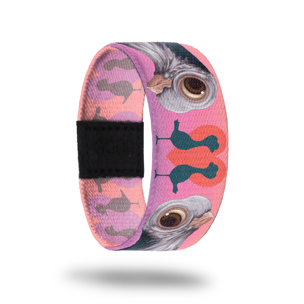 Still image of outside design for the pigeon. Light pink background with the pigeon being light grey and a little dark blue and tan