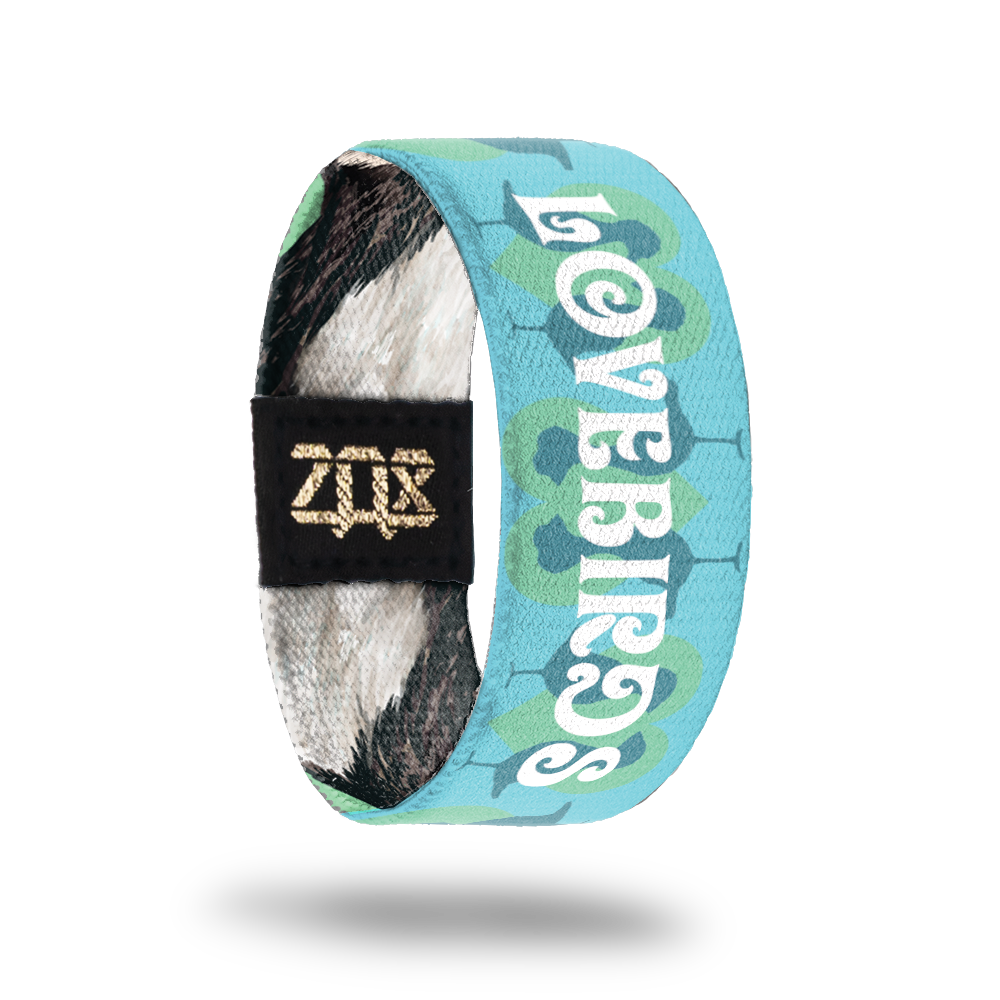 Still image of inside design for puffin. Light blue background with light green hearts and the full bird body silhouettes in a dark blue for the background. Lovebirds in the center in large bold text