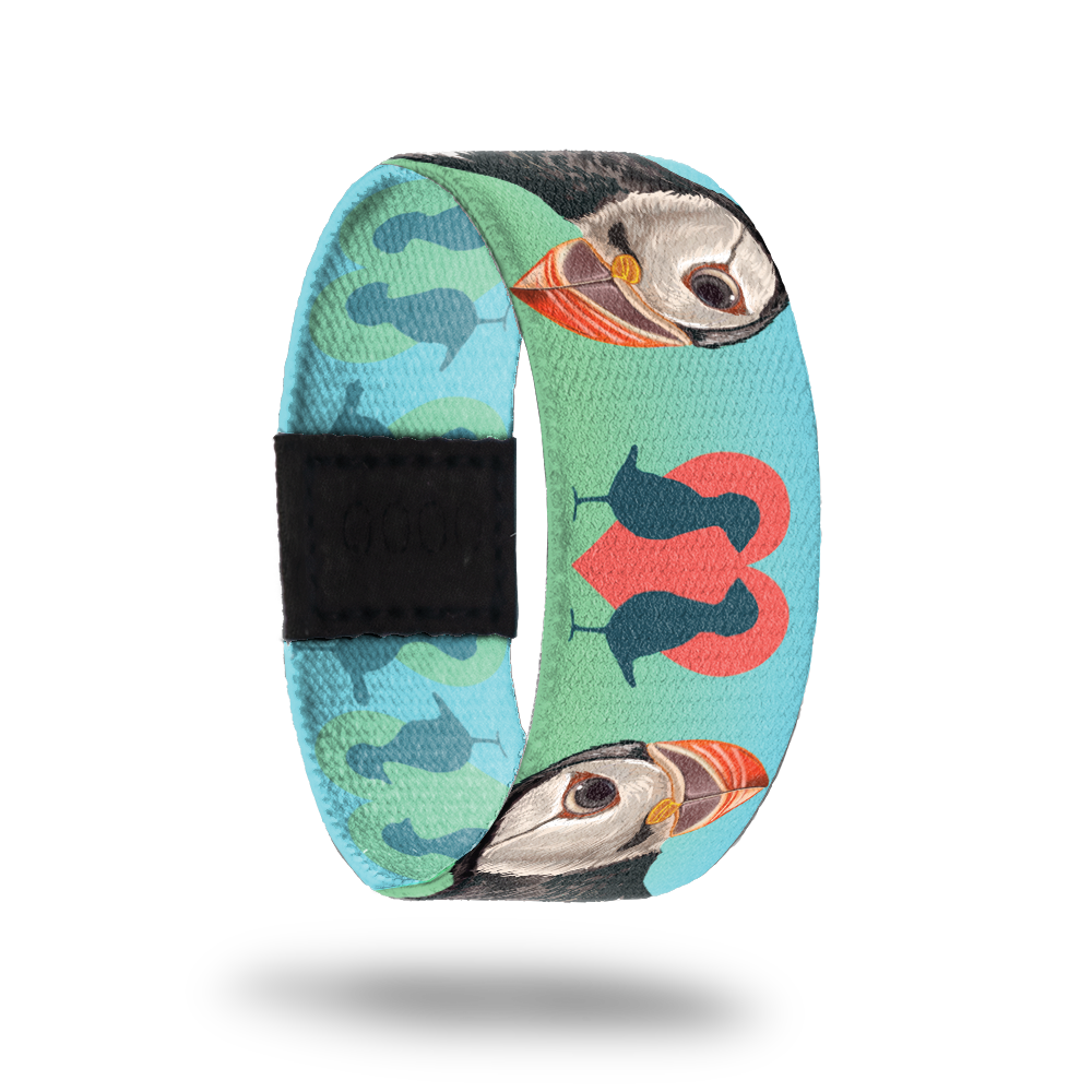 Still image of outside design for the puffin. Blended light blue and light green background with the puffin being black and white and a little orange