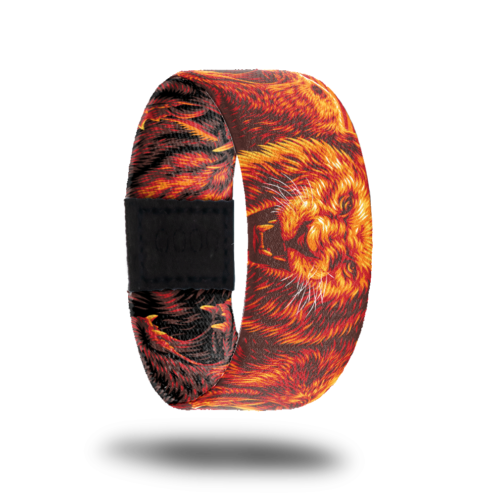 Outside design of Release The Beast. Illustrated realistic drawings of top animal predators, lion, wolf, and bear in a red-orange tone though out the desgin.