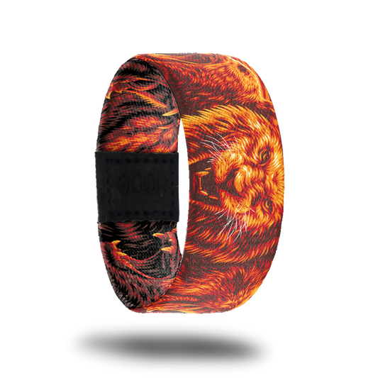 Outside design of Release The Beast. Illustrated realistic drawings of top animal predators, lion, wolf, and bear in a red-orange tone though out the desgin.