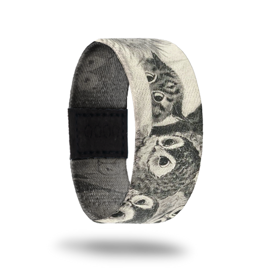 Scaredy-Cat-Sold Out-ZOX - This item is sold out and will not be restocked.