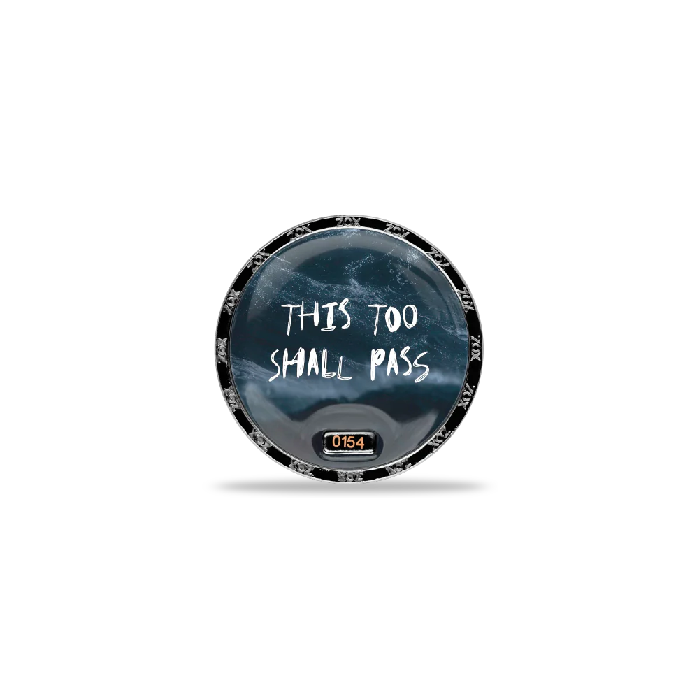 This Too Shall Pass Coin